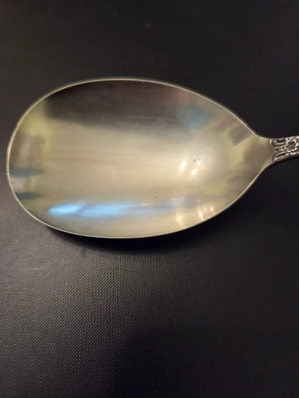 Daybreak Elegant Lady Rogers & Bro IS International Silverplate Casserole Spoon